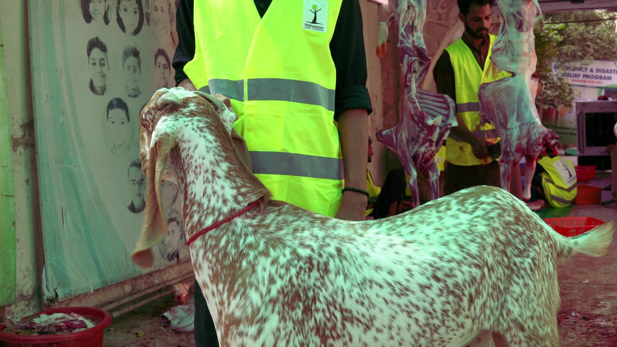Parvarish Charity Foundation volunteers performing and distributing qurbani in Lahore, 2025